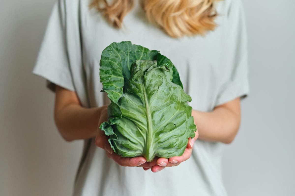 Vegan for Beginners: A Friendly Guide to Starting Your Plant‑Based Journey